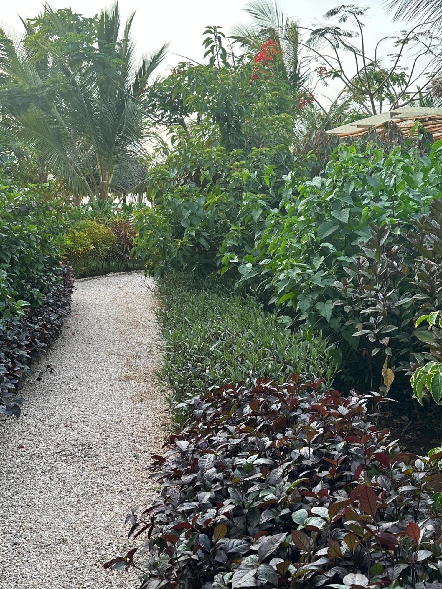 Kidoti Bay Exterior foto